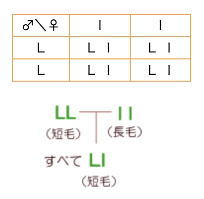 チェッカーボード表