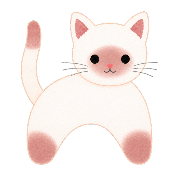 ポイント