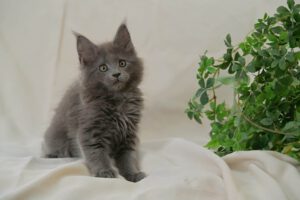 そらちゃんの写真